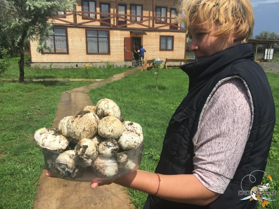 РЫБОЛОВНАЯ БАЗА «ДОНГАР» В ДЕЛЬТЕ ВОЛГИ